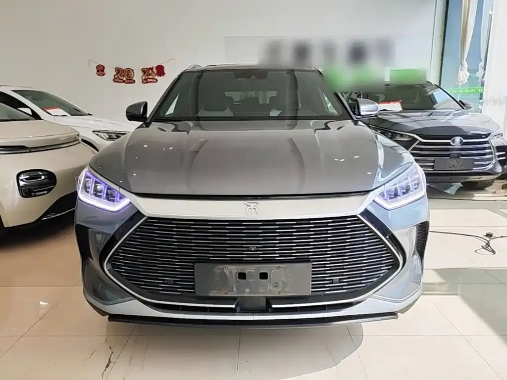BYD PLUS New Energy — фото 2