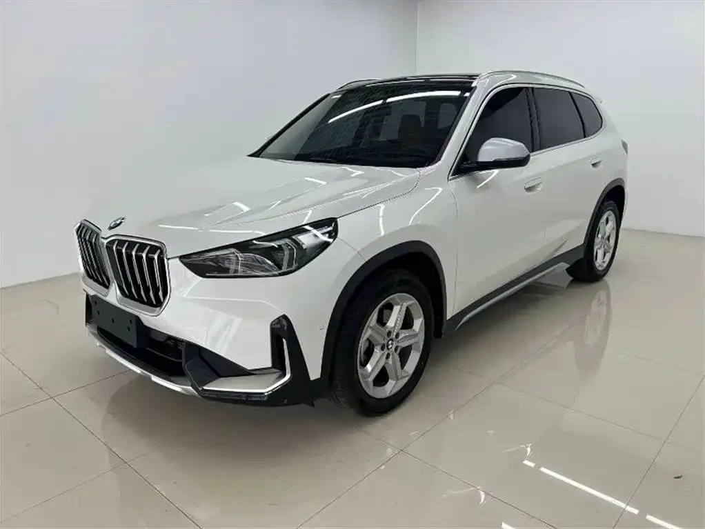 BMW X1 — фото 1