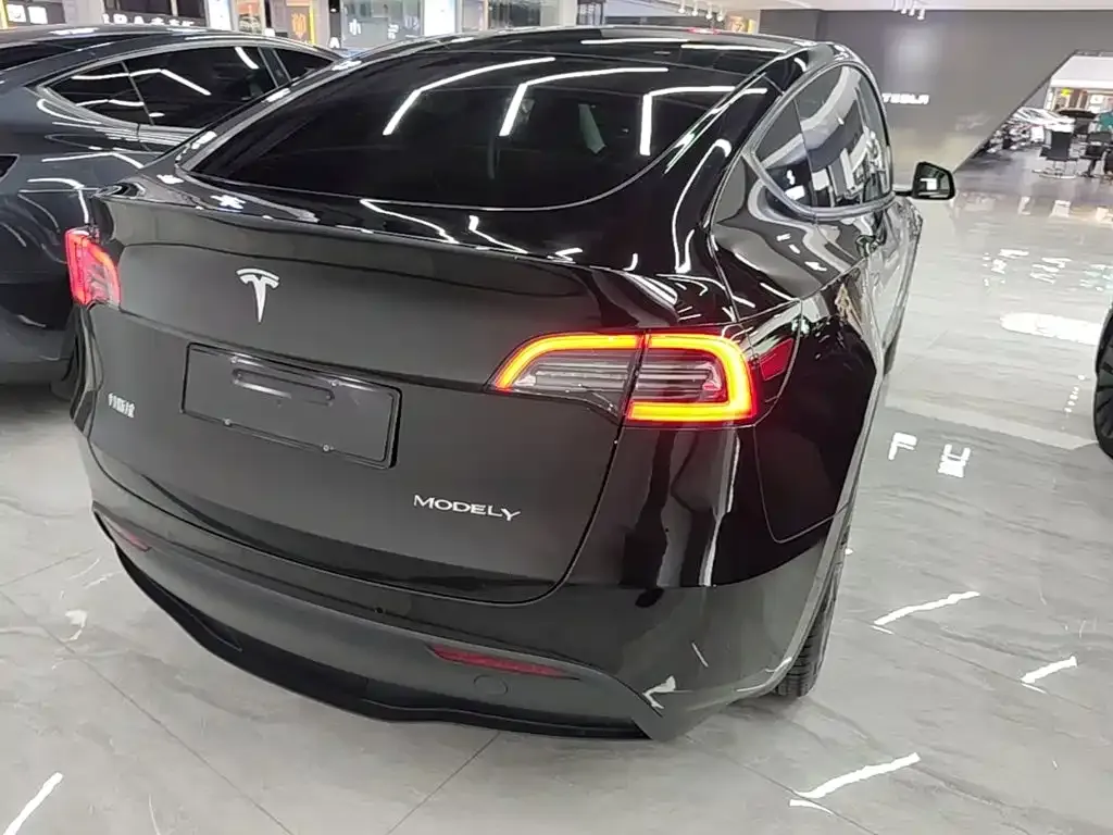 Tesla Model Y — фото 8