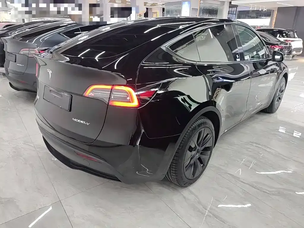 Tesla Model Y — фото 9