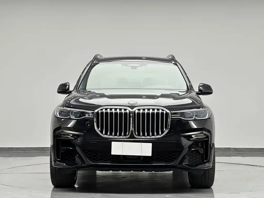 BMW X7 — фото 7