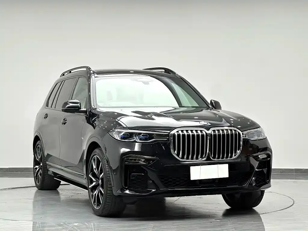 BMW X7 — фото 10