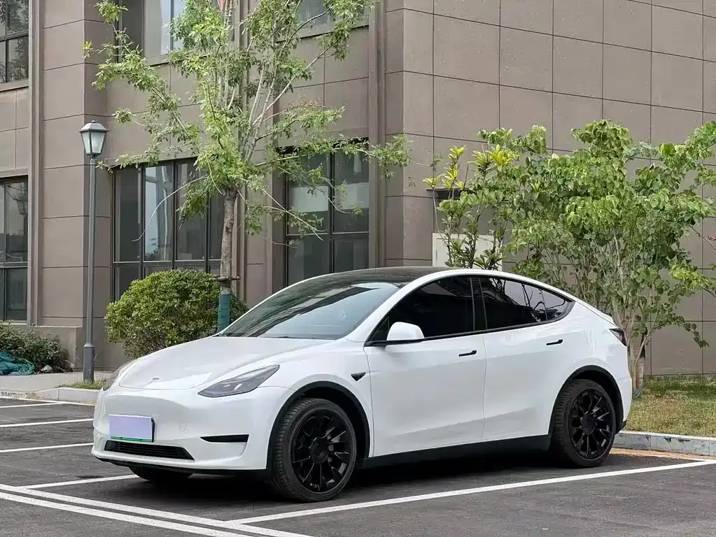 Tesla Model Y — фото 1
