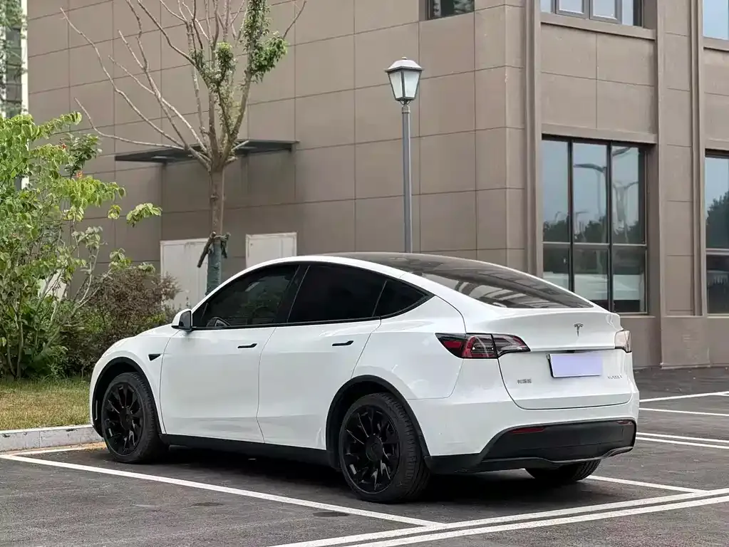 Tesla Model Y — фото 5