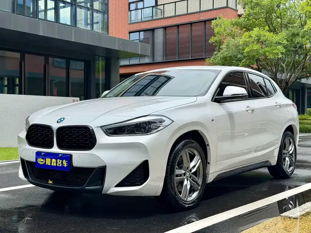 BMW X2 — фото 1