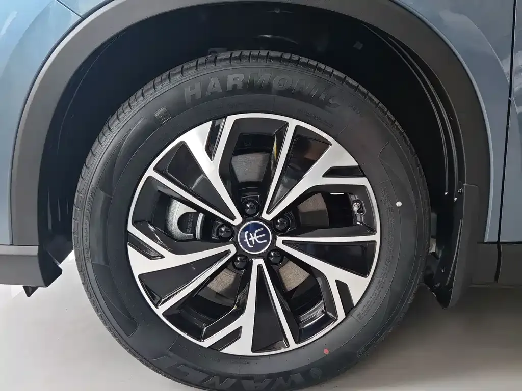 BYD Pro New Energy — фото 4