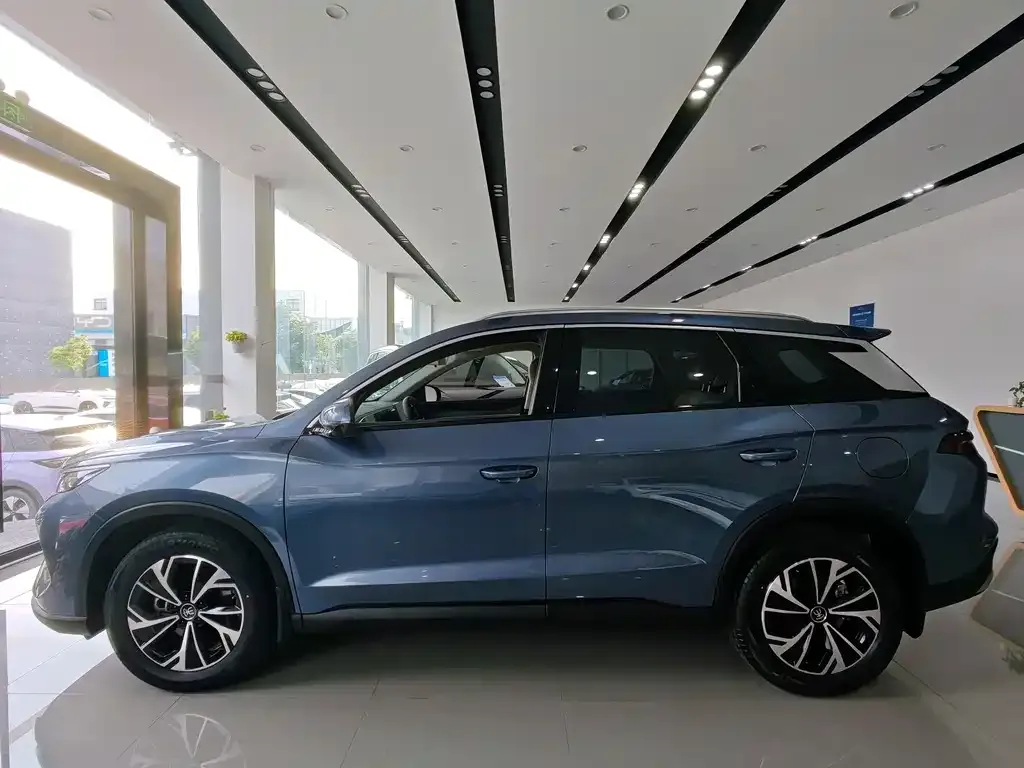 BYD Pro New Energy — фото 6