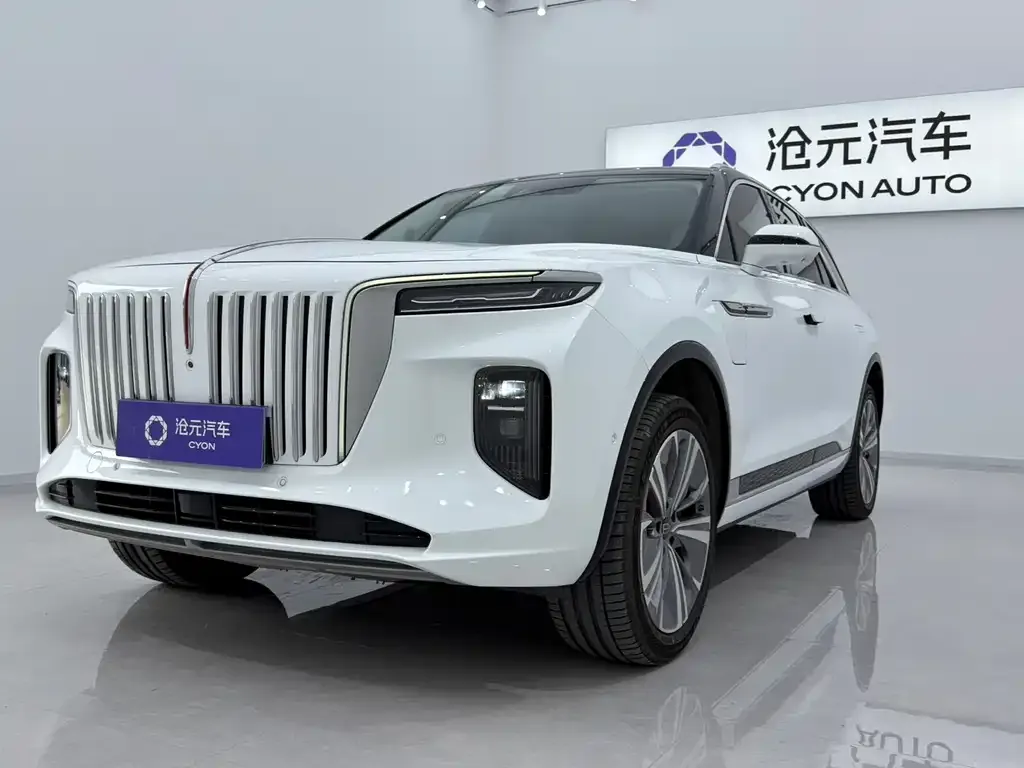 Hongqi E-HS9 — фото 1