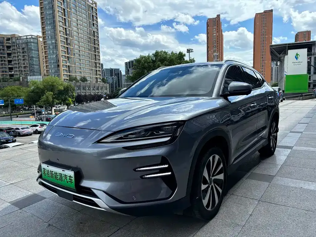 BYD PLUS New Energy — фото 1
