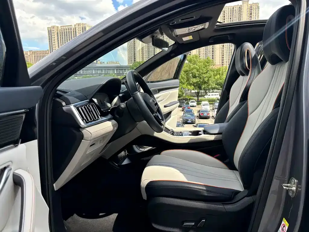 BYD PLUS New Energy — фото 3