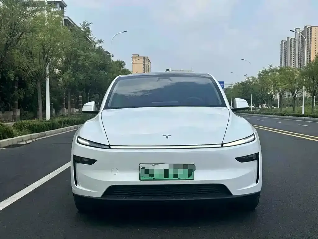 Tesla Model Y — фото 3