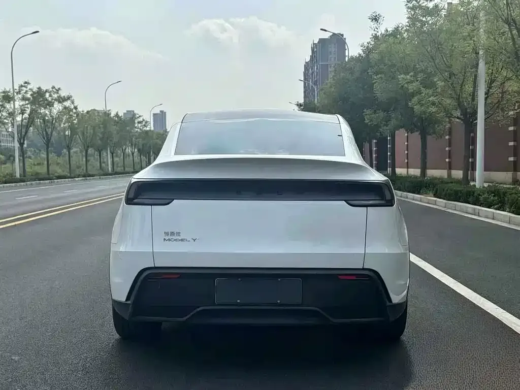 Tesla Model Y — фото 9