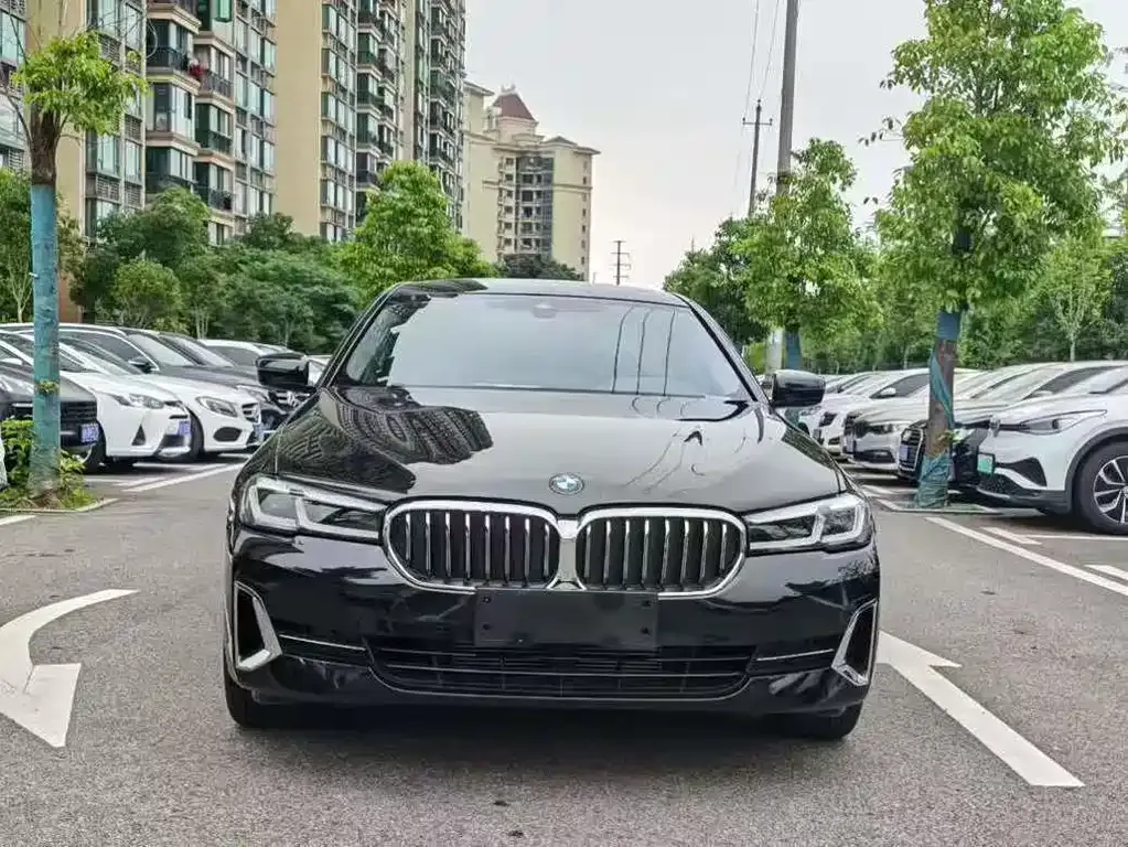 BMW 5 Series 2024 из CN, фото 4