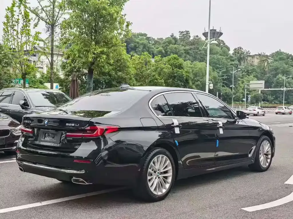 BMW 5 Series 2024 из CN, фото 6