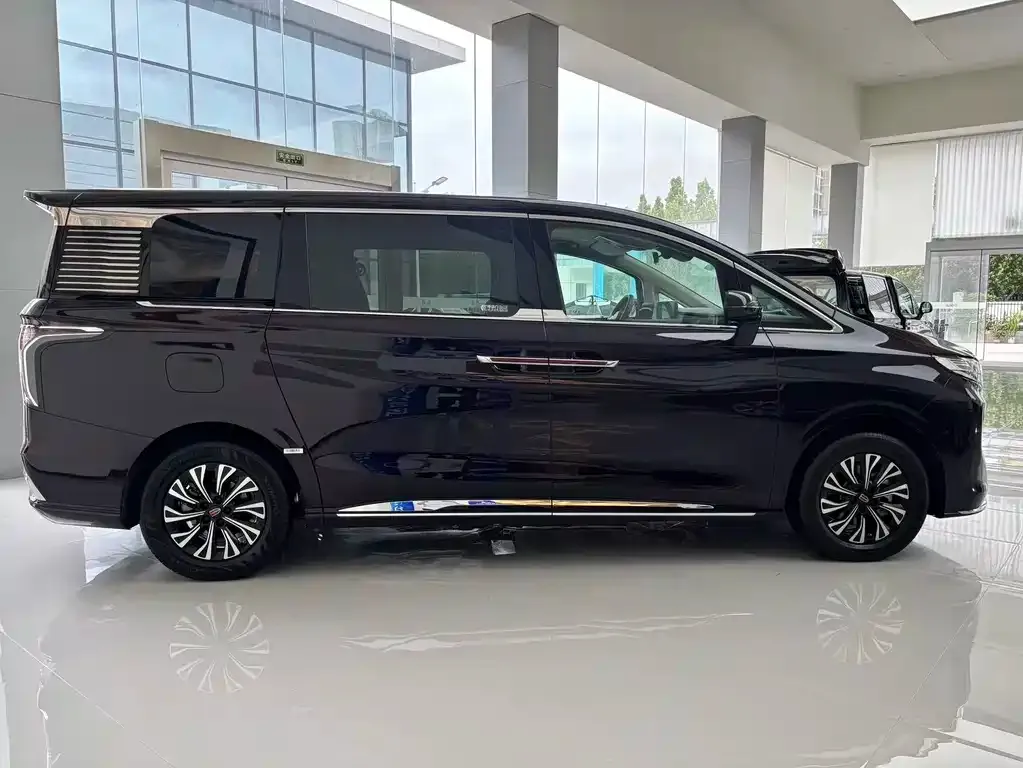 Hongqi HQ9 — фото 4