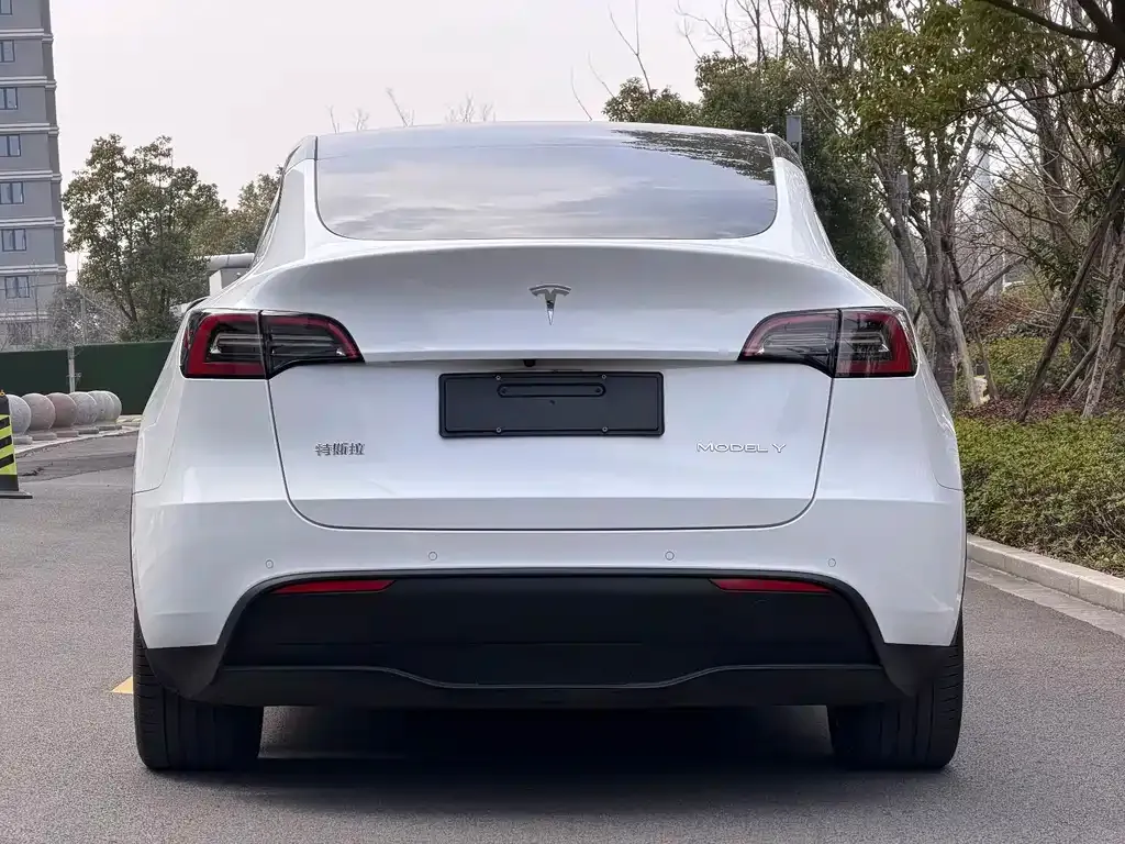 Tesla Model Y — фото 5