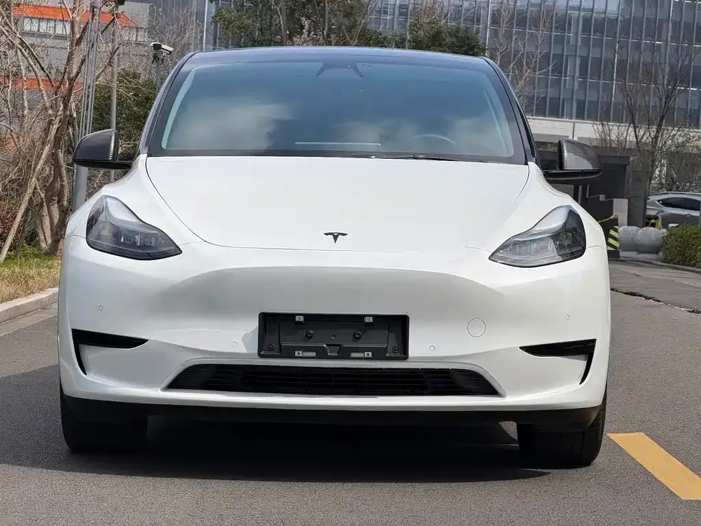 Tesla Model Y — фото 8