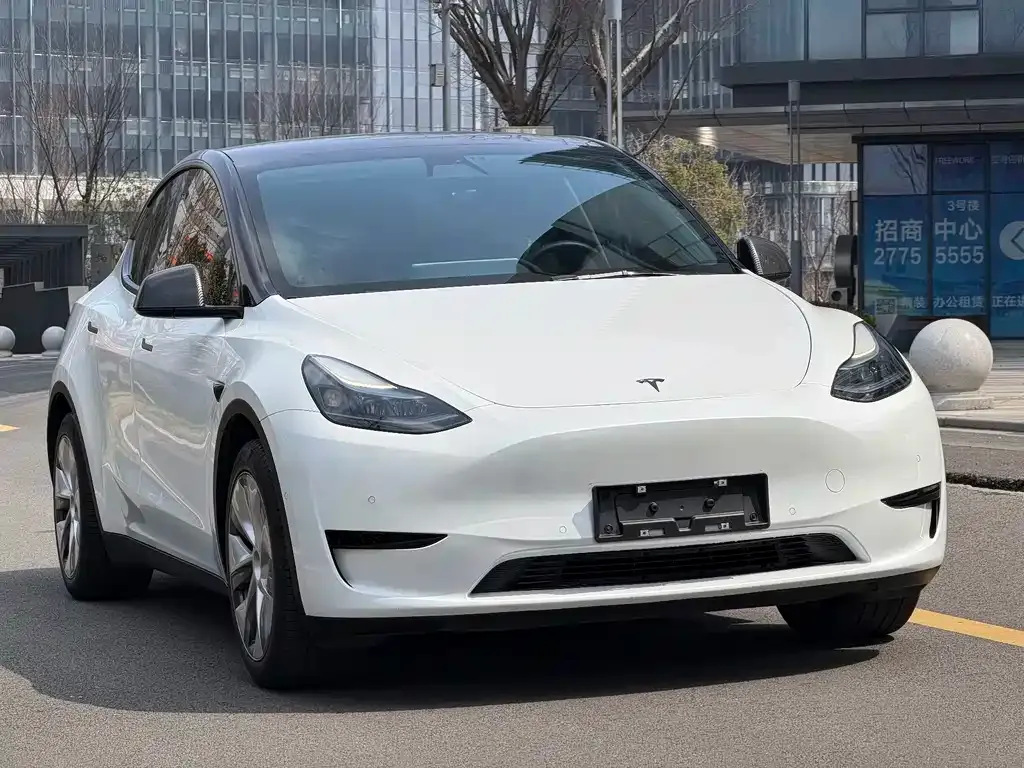 Tesla Model Y — фото 3