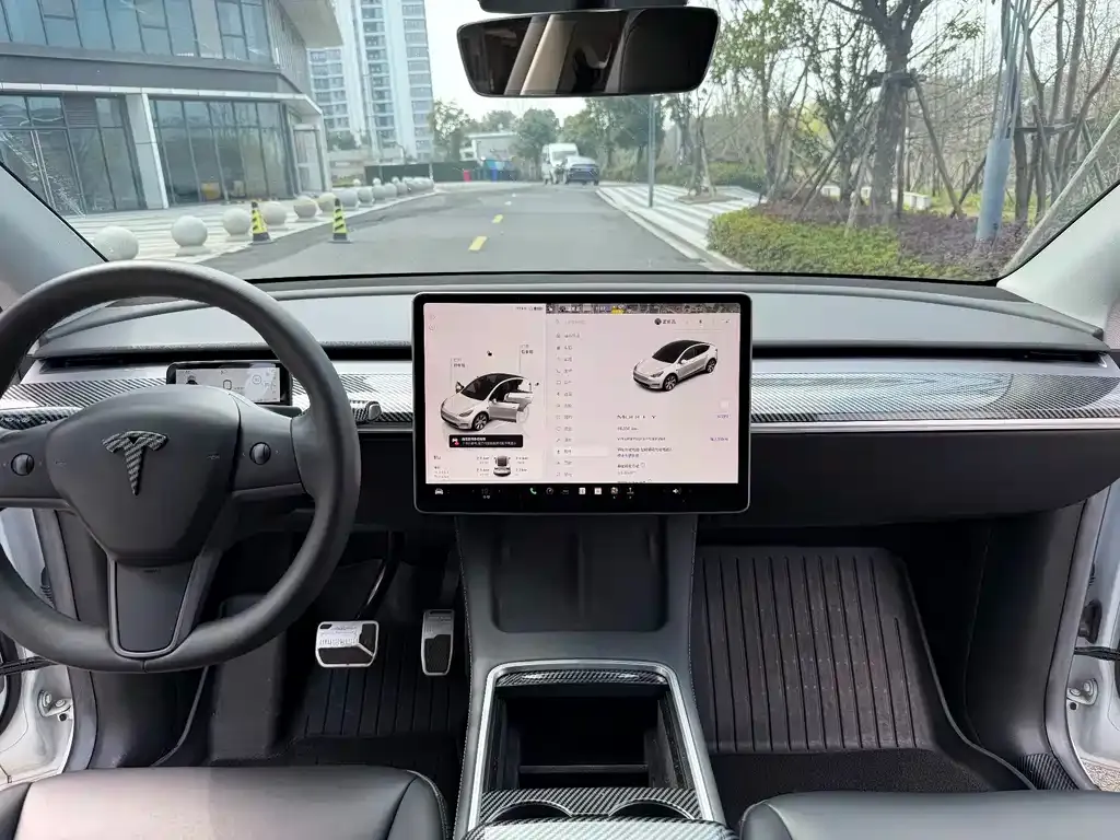 Tesla Model Y — фото 2