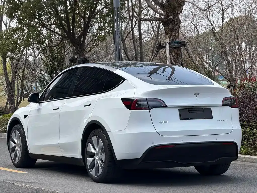 Tesla Model Y — фото 10