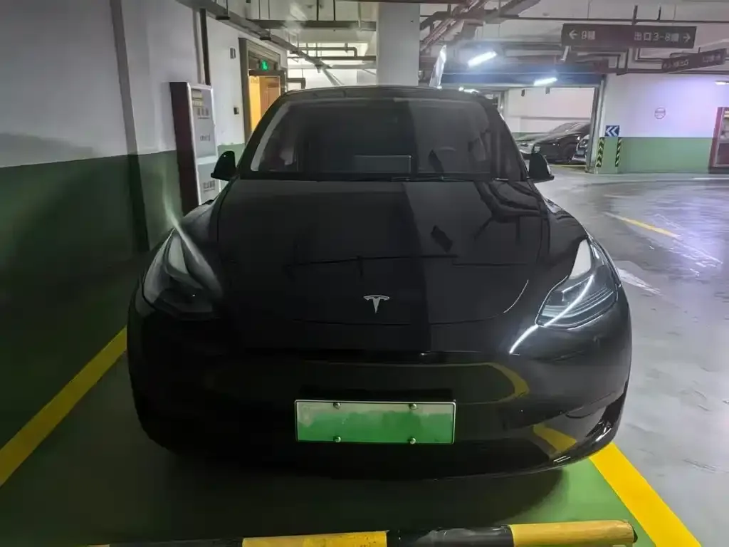 Tesla Model Y — фото 3