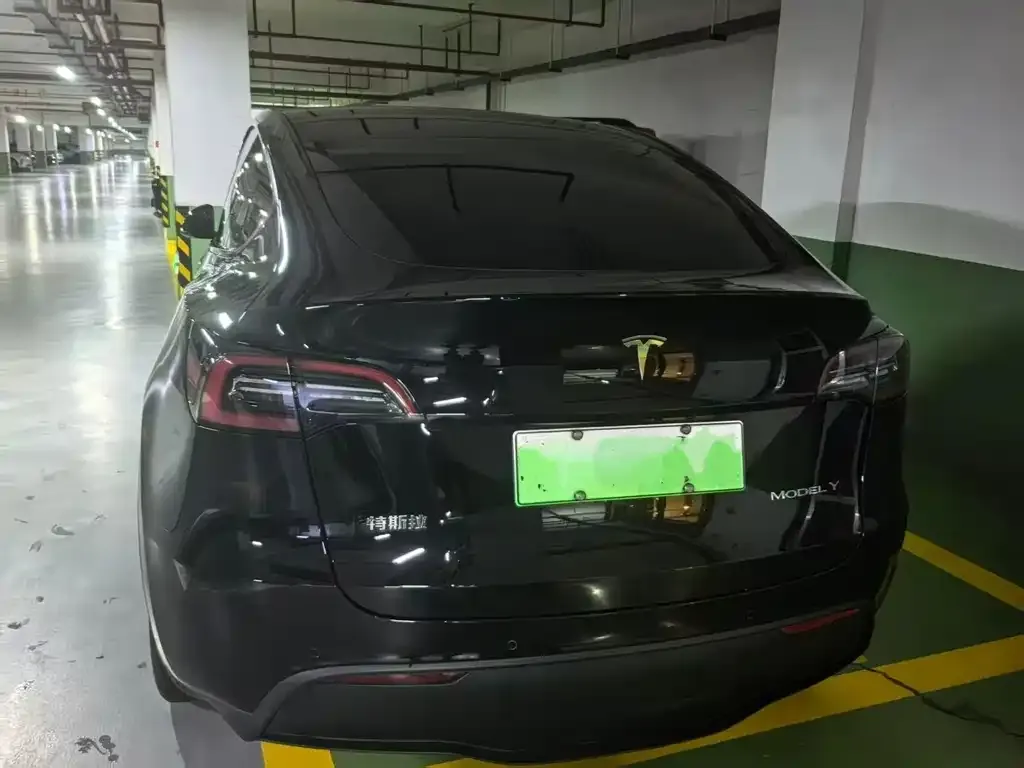 Tesla Model Y — фото 2
