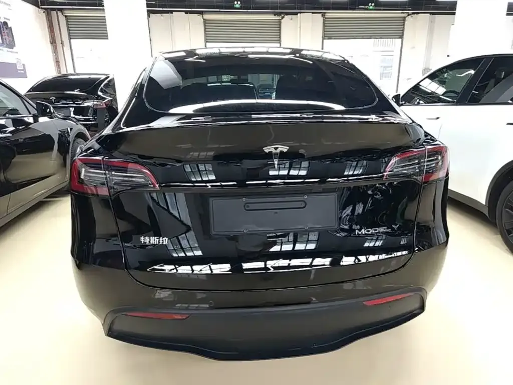 Tesla Model Y — фото 10