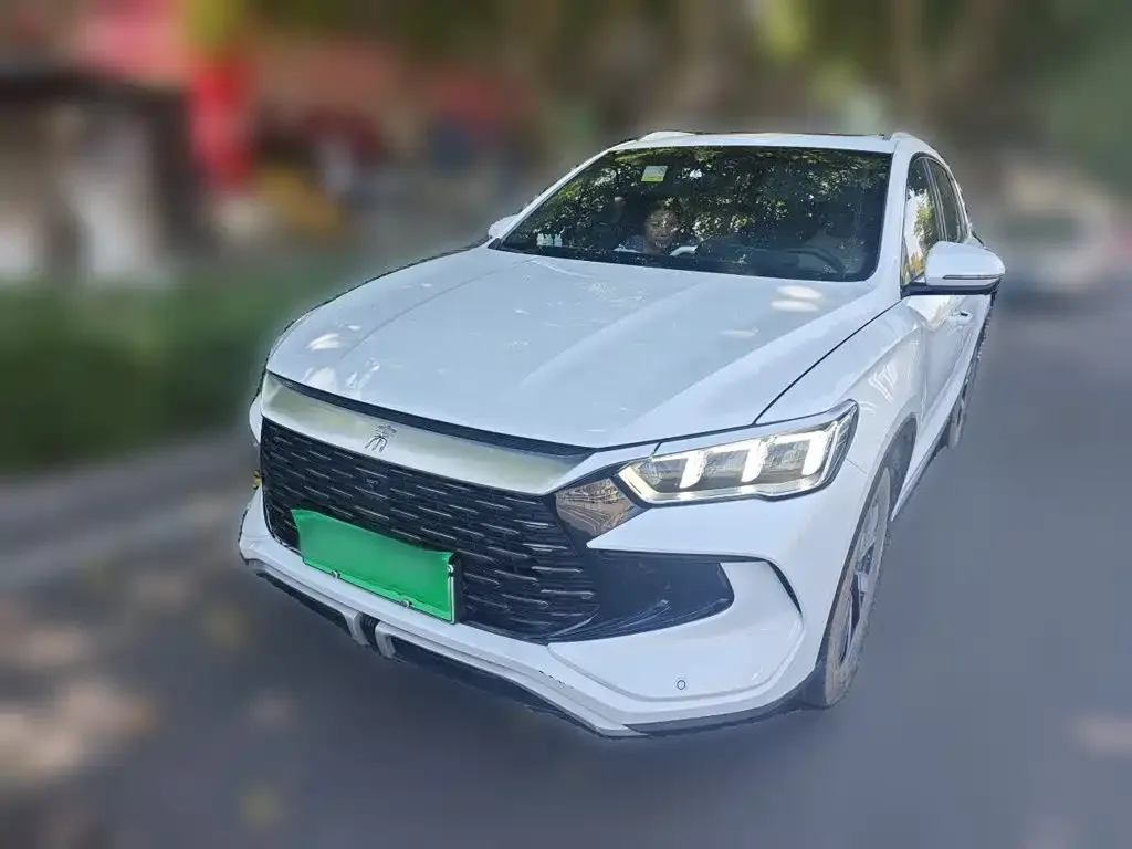 BYD Pro New Energy