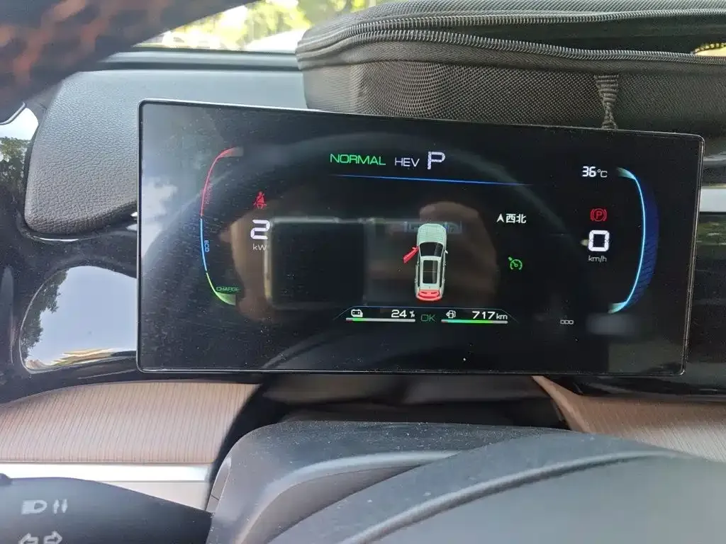 BYD Pro New Energy 2024 из CN, фото 10