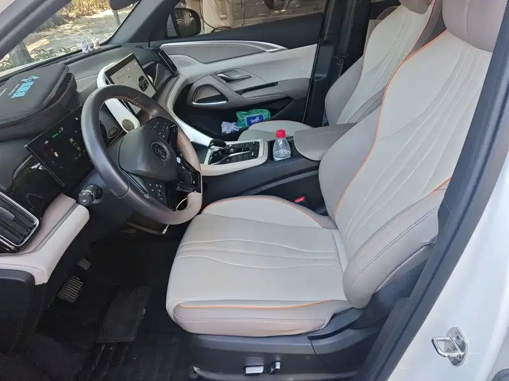 BYD Pro New Energy 2024 из CN, фото 9