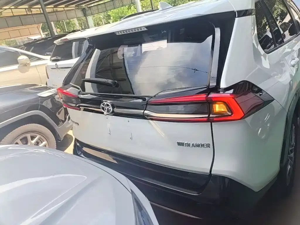 Toyota Wildlander 2024 из CN, фото 9