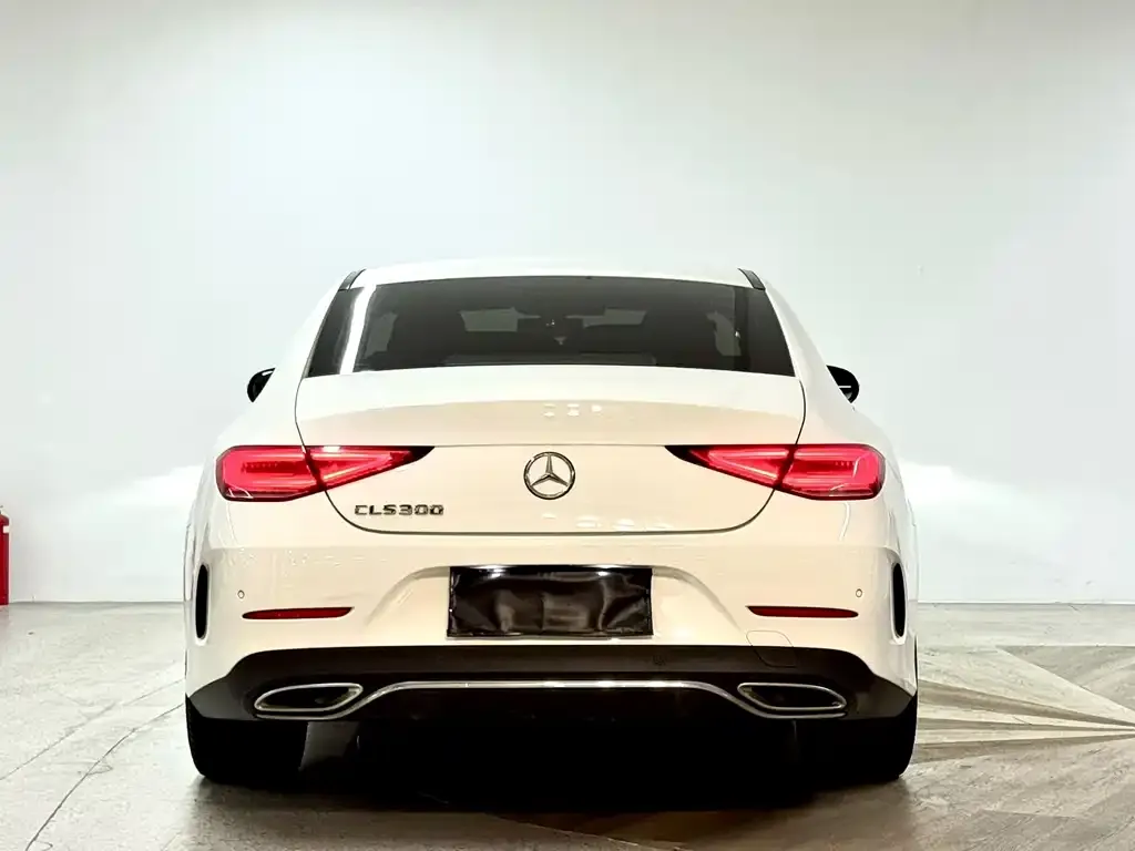 Mercedes-Benz CLS 2021 из CN, фото 3