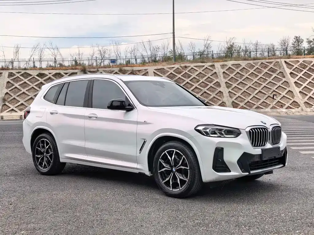 BMW X3 — фото 10