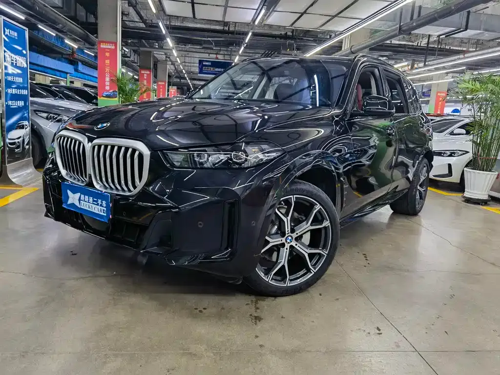 BMW X5 xDrive 30Li Premium M Sport Night 1