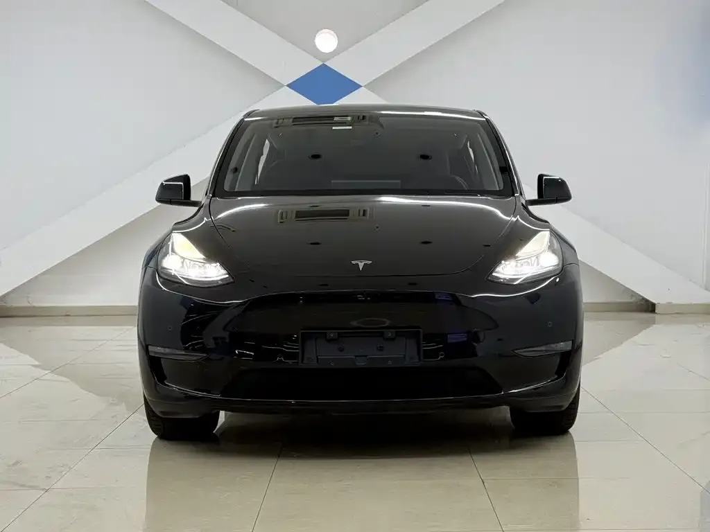 Tesla Model Y — фото 2