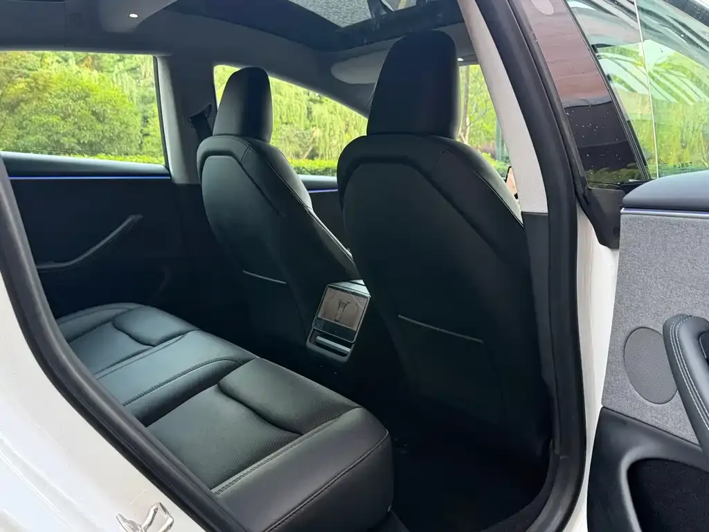 Tesla Model 3 2024 из CN, фото 2