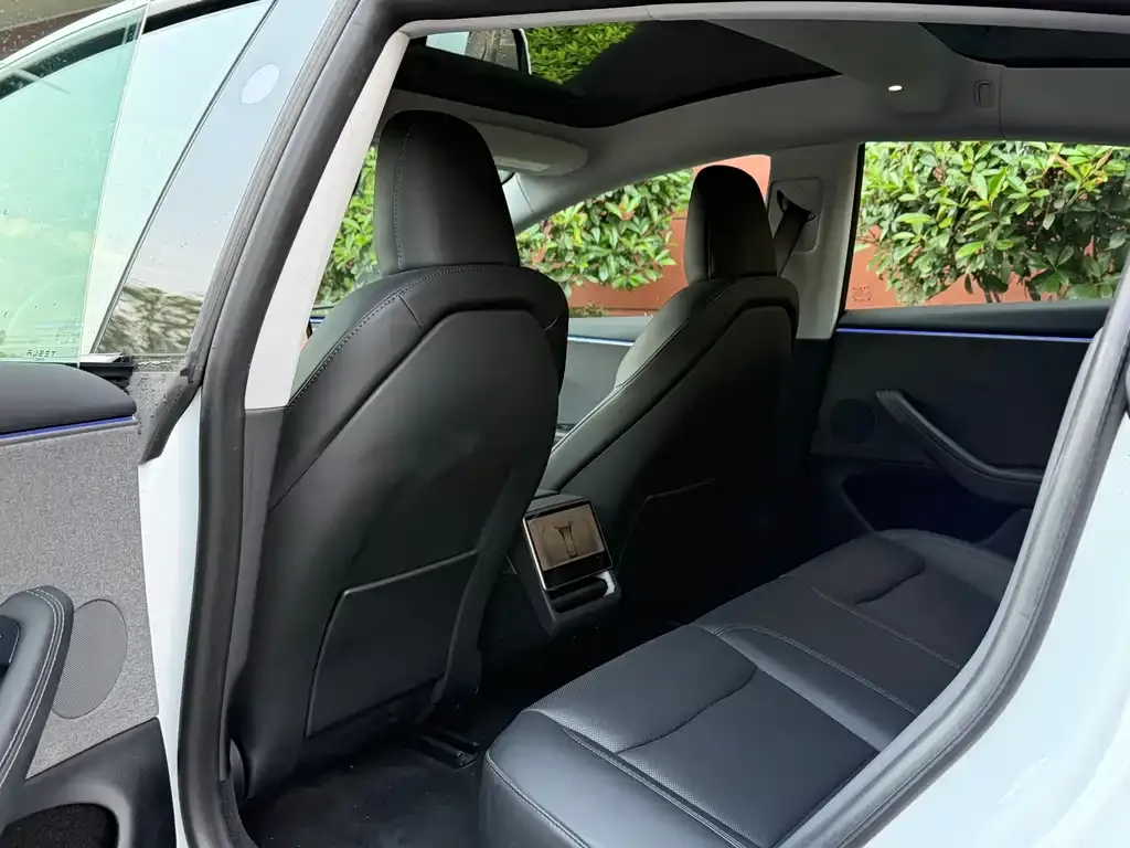 Tesla Model 3 2024 из CN, фото 3