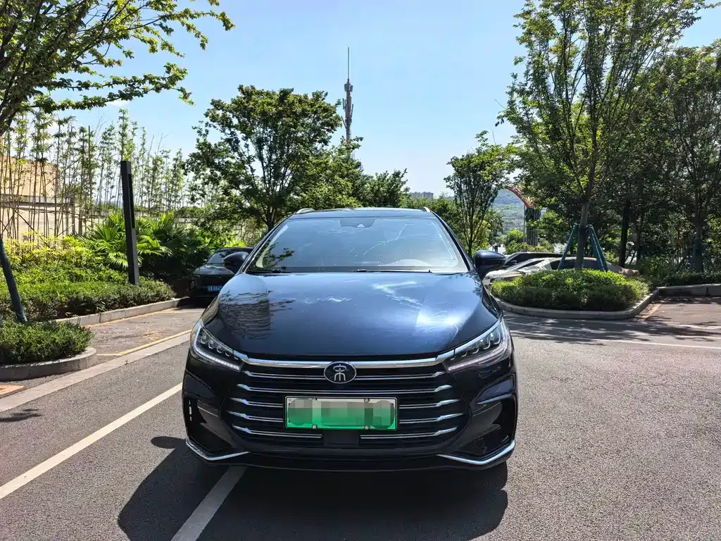 BYD MAX New Energy 2022 из CN, фото 10