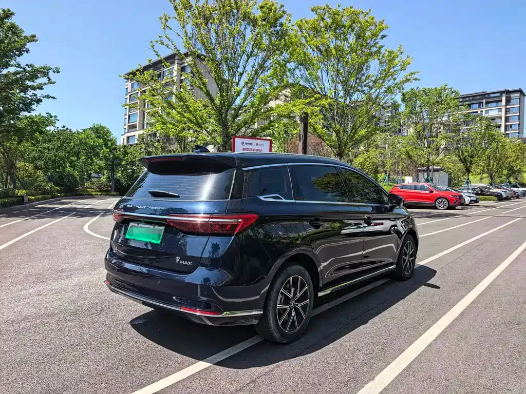BYD MAX New Energy 2022 из CN, фото 3
