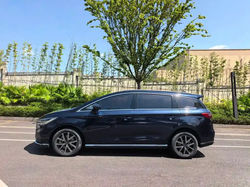 BYD MAX New Energy 2022 из CN, фото 9
