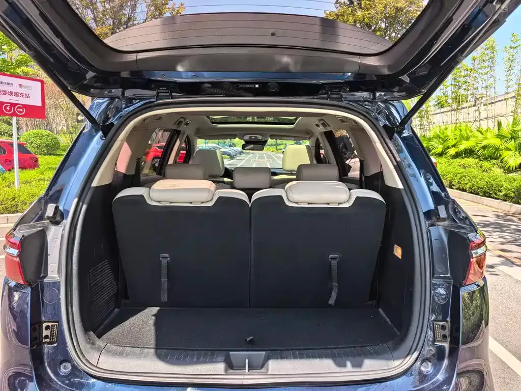 BYD MAX New Energy 2022 из CN, фото 4