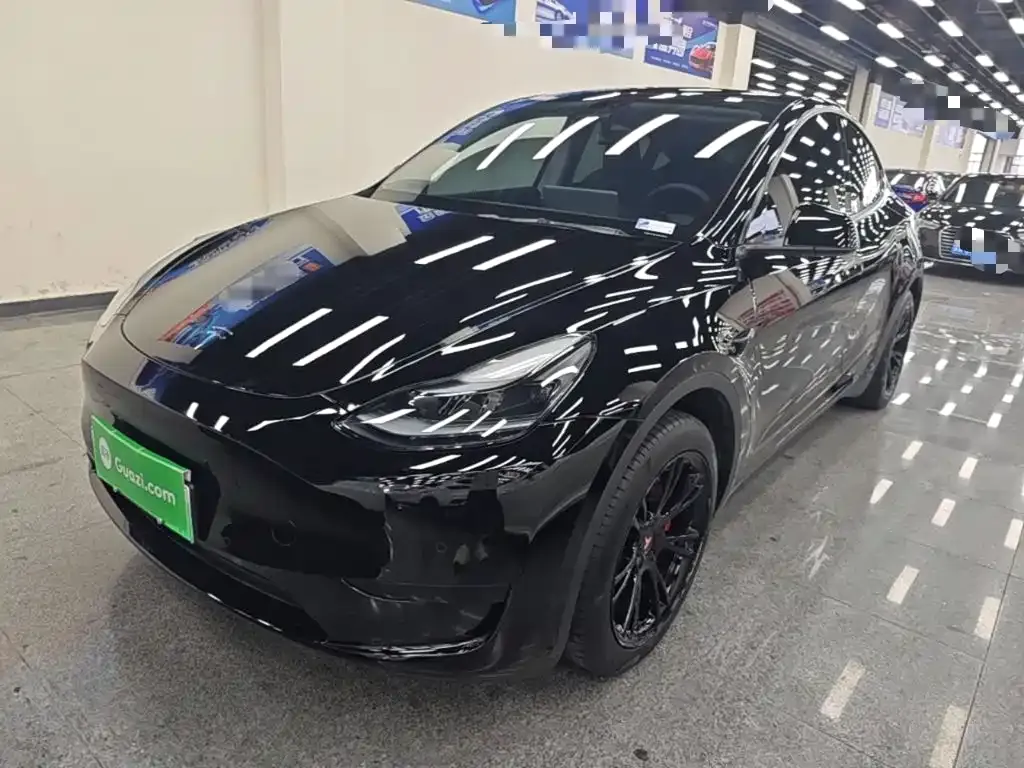 Tesla Model Y — фото 3
