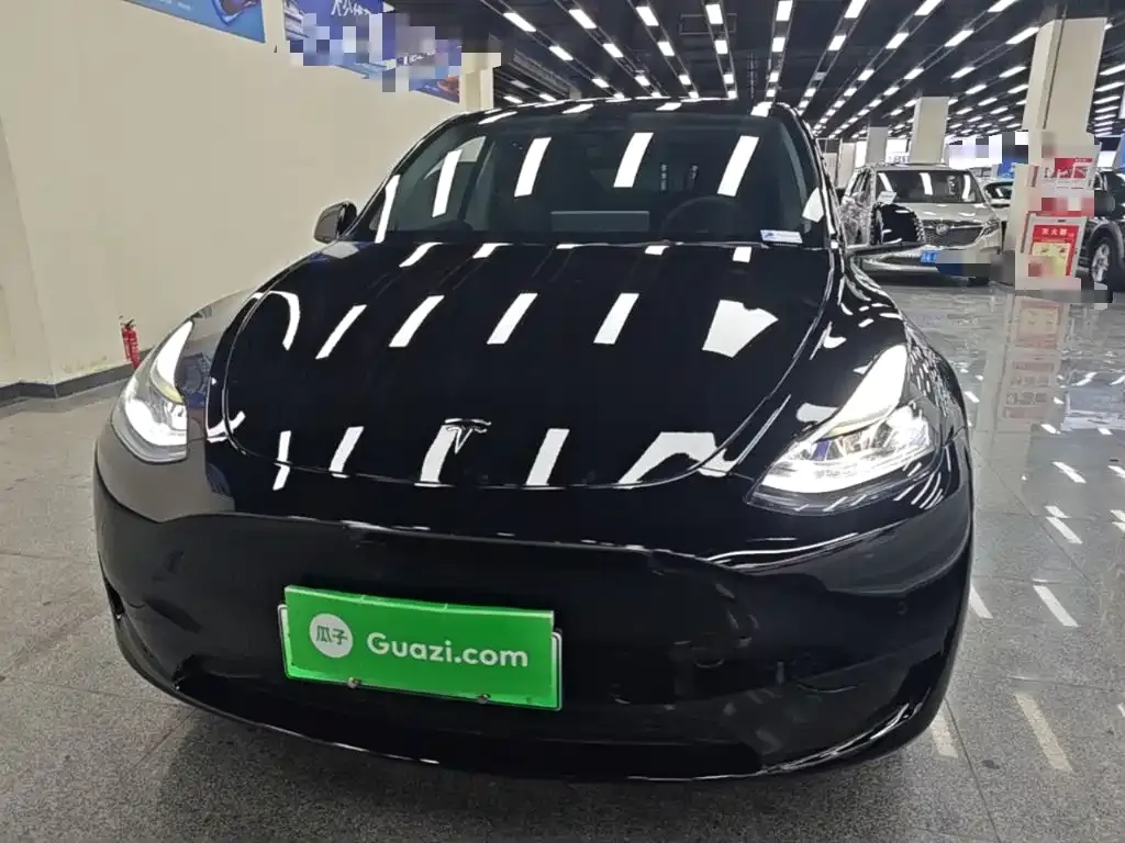 Tesla Model Y — фото 6