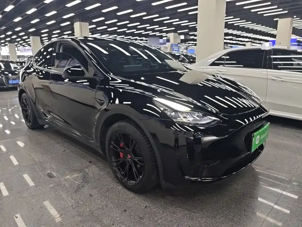 Tesla Model Y — фото 8