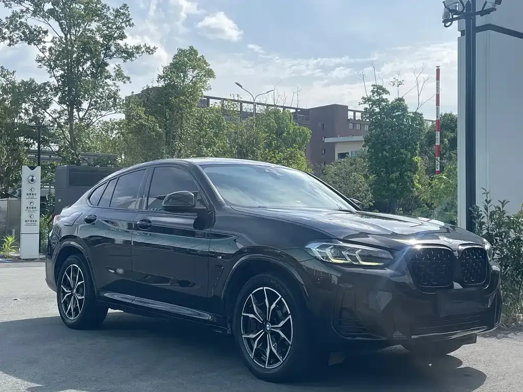 BMW X4 — фото 10