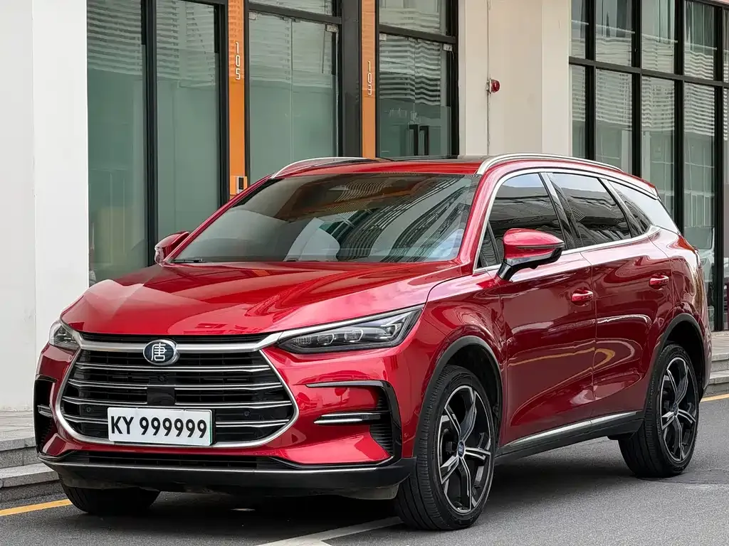 BYD Tang New Energy — фото 1