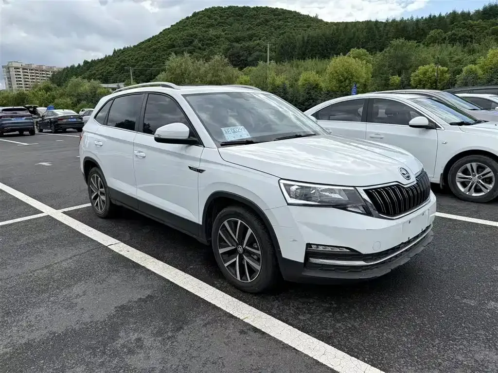 Skoda Kamiq — фото 9