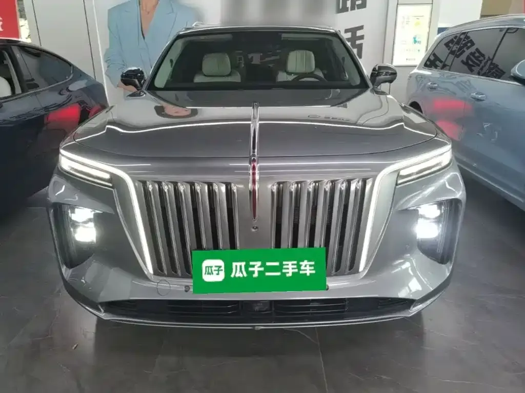 Hongqi E-HS9 — фото 8