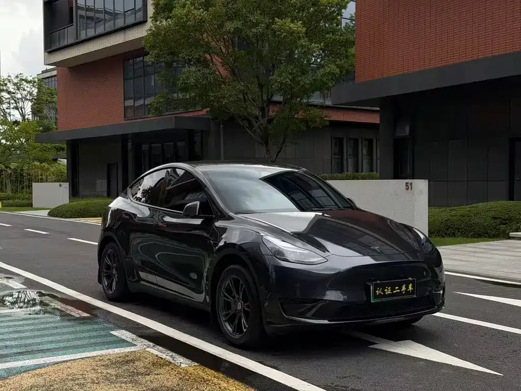 Tesla Model Y — фото 3
