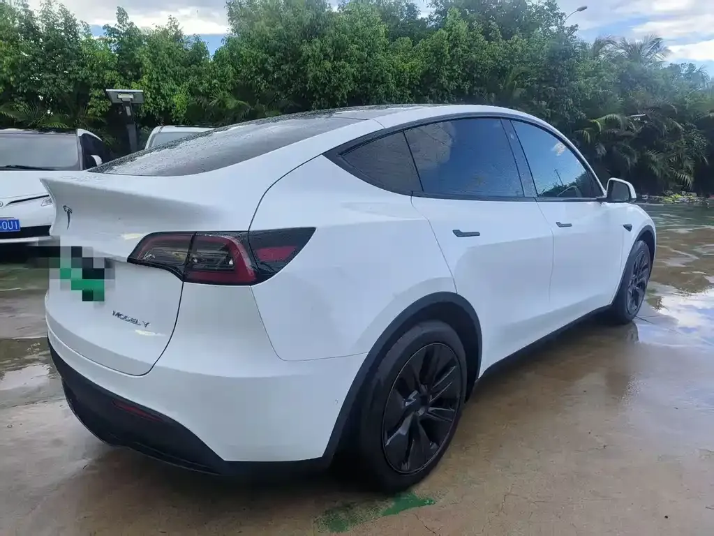 Tesla Model Y — фото 3